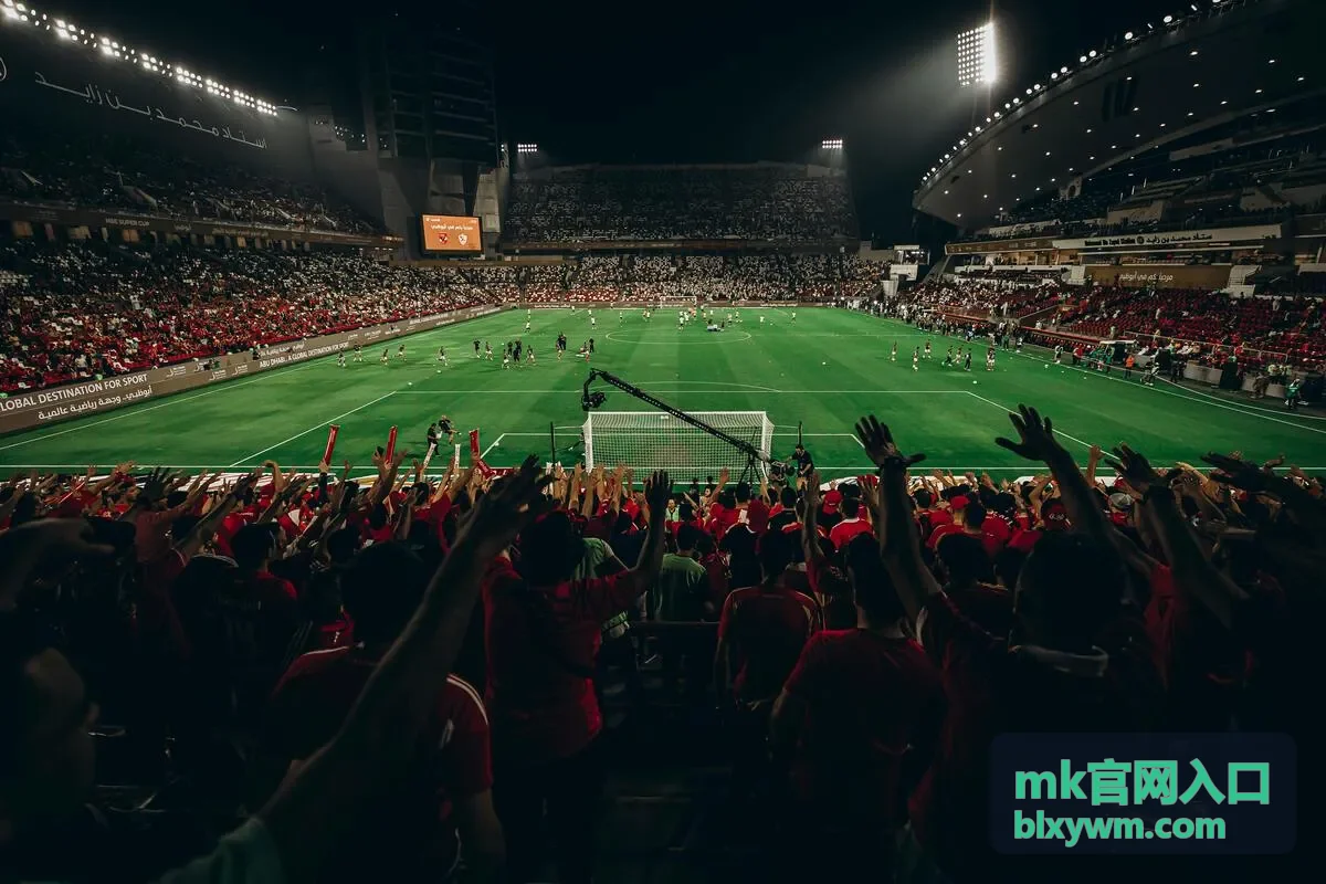 mk官网入口热播推荐分区封面
