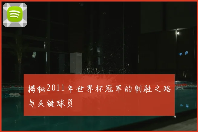 揭秘2011年世界杯冠军的制胜之路与关键球员