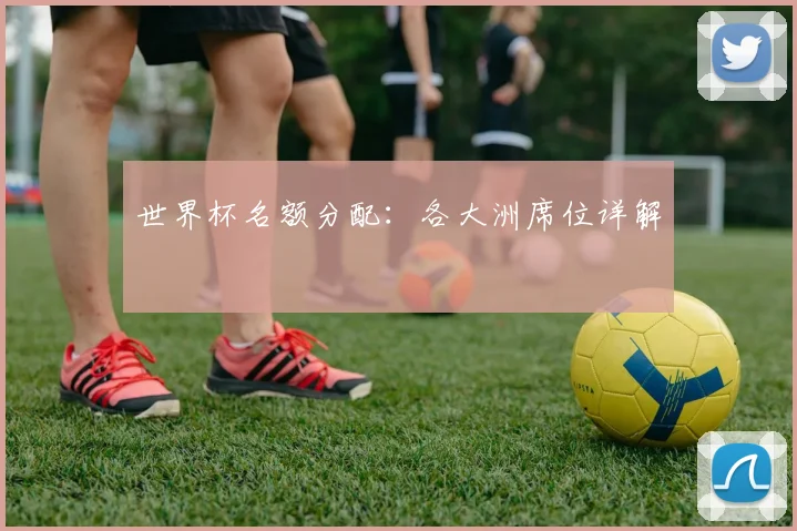 世界杯名额分配：各大洲席位详解