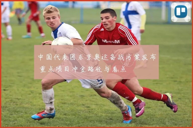 中国代表团东京奥运备战方案发布 重点项目冲金路径与看点